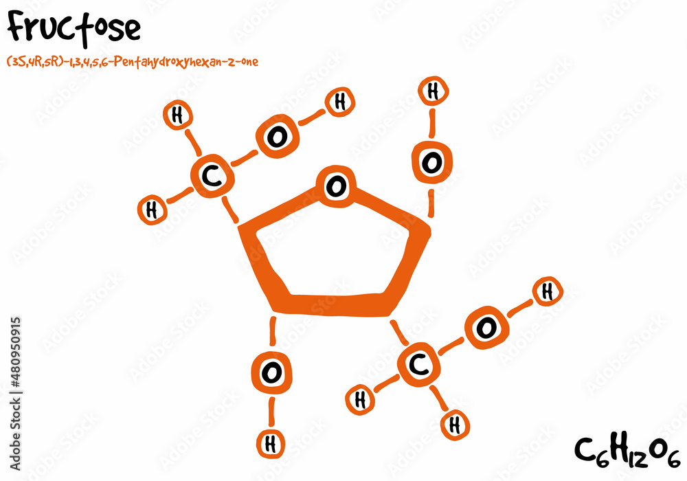 Large and detailed isolated drawn molecule and formular of fructose. - obrazy, fototapety, plakaty 