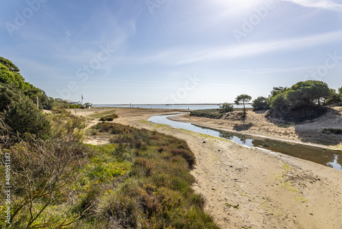 El Portil beach in Punta Umbria, Huelva photo