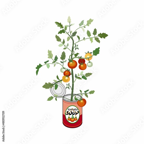 Vector illustration of canned tomato soup. Shoots of tomatoes with fruits from a tin can. Botanical illustration flat, cartoon isolated on white background.