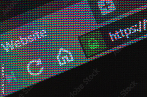 Web browser closeup on LCD with secure https url and visible pixels