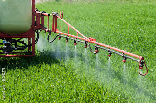 Tractor spraying herbicide over wheat field with sprayer photo