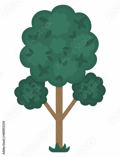 Vector tree icon isolated on white background. Garden or forest plant with leaves. Flat spring woodland or farm illustration. Natural greenery picture.