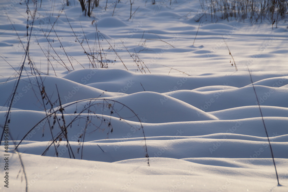 grass in snow