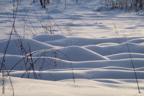 Obraz na płótnie grass in snow w salonie
