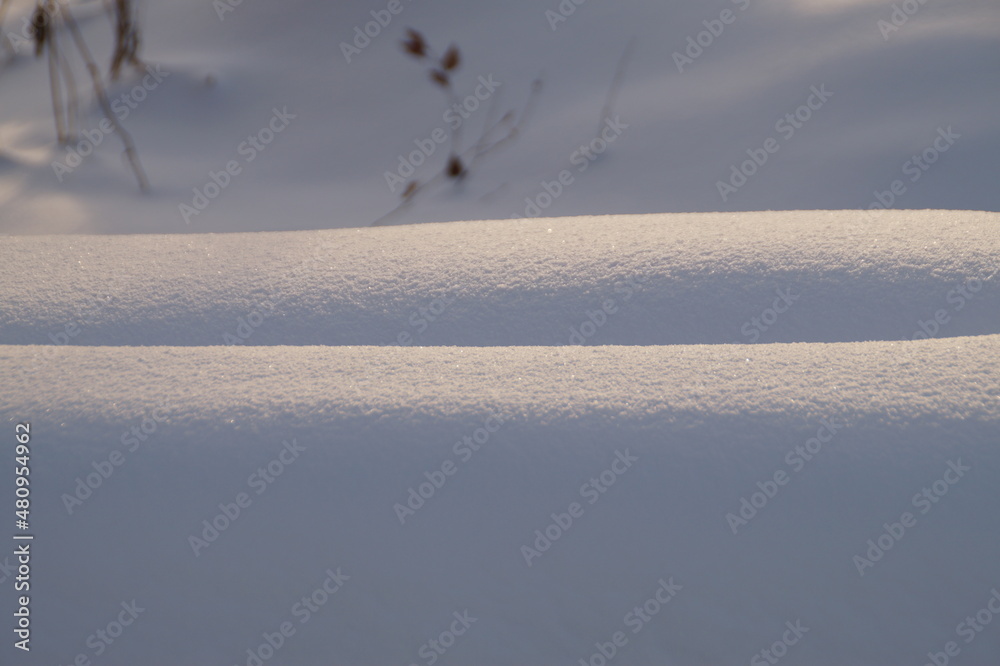 snow covered trees