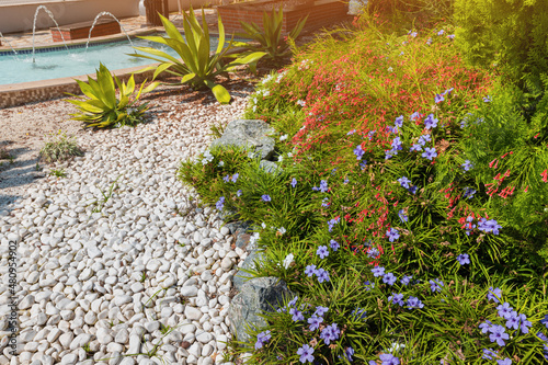 landscaping design in the garden with plants in bloom and decorative stones on the sidewalk