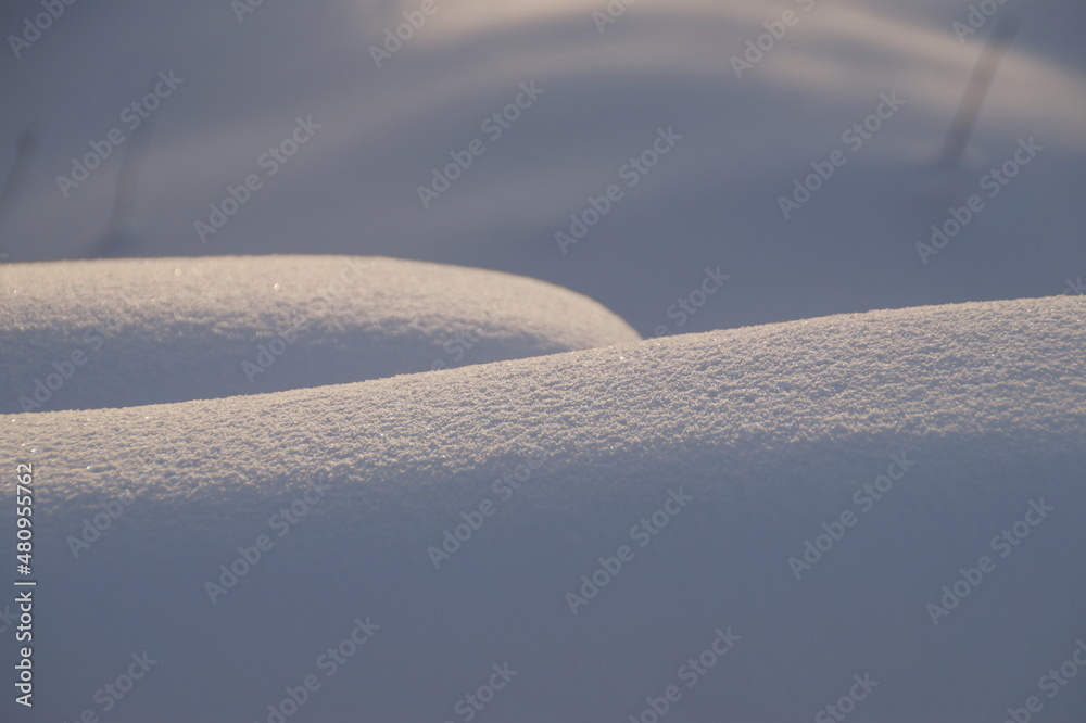 snow on the snow