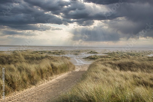 Dunes at the Beach of Amrum, Germany, Europe