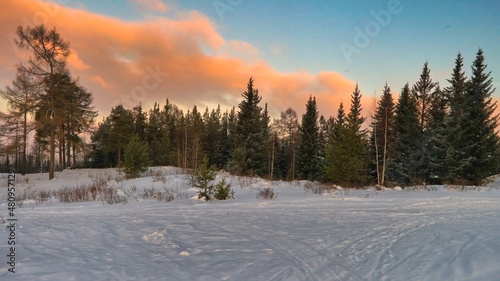 Colorful landscape at the winter sunrise in the mountain forest.