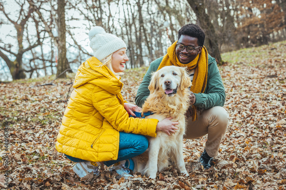 Cropped image of romantic couple is on a walk in the city with their dog Golden Retriever. Beautiful young woman and handsome man are having fun outdoors with golden retriever. Cropped image of romantic couple is on a walk in the city with their dog Golden Retriever. Beautiful young woman and handsome man are having fun outdoors with golden retriever.