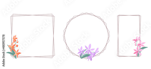 Decorative linear frames with orchid flowers (Darwinara) on a white background, flat illustration. Set of simple elegant frames for your design. Flat cartoon vector illustration.