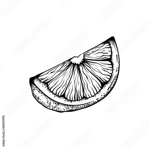Black Engraved Lemon Piece Graphic Isolated Illustration