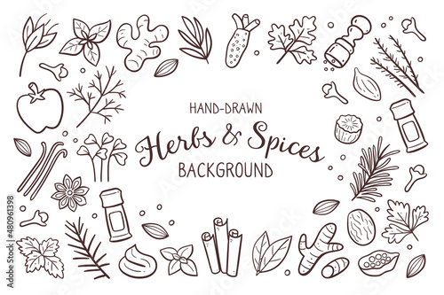 Hand-drawn herbs and spices background. Food ingredients for cooking illustration. Isolated doodle icons on white background. Vector illustration.