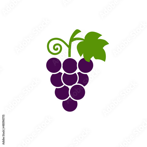 Obraz na plátně Grape bunch with leaf, icon, logo