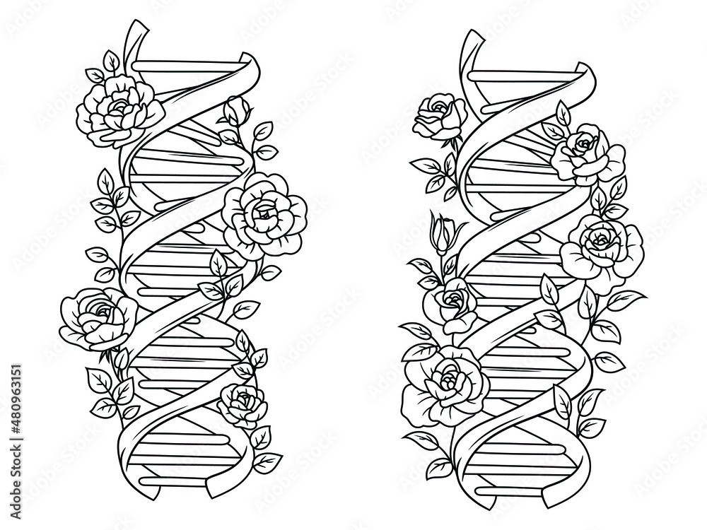 Set of dna spiral. Collection of double roses dna helix. code