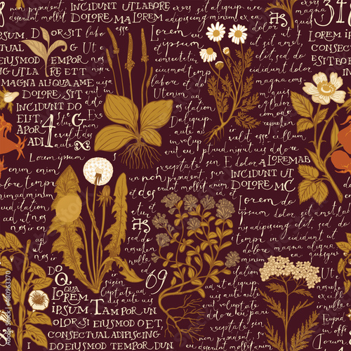 Seamless pattern with hand-drawn medicinal herbs and handwritten text Lorem Ipsum on brown backdrop. Colored vector background on the theme of herbal medicine. Retro wallpaper, wrapping paper, fabric