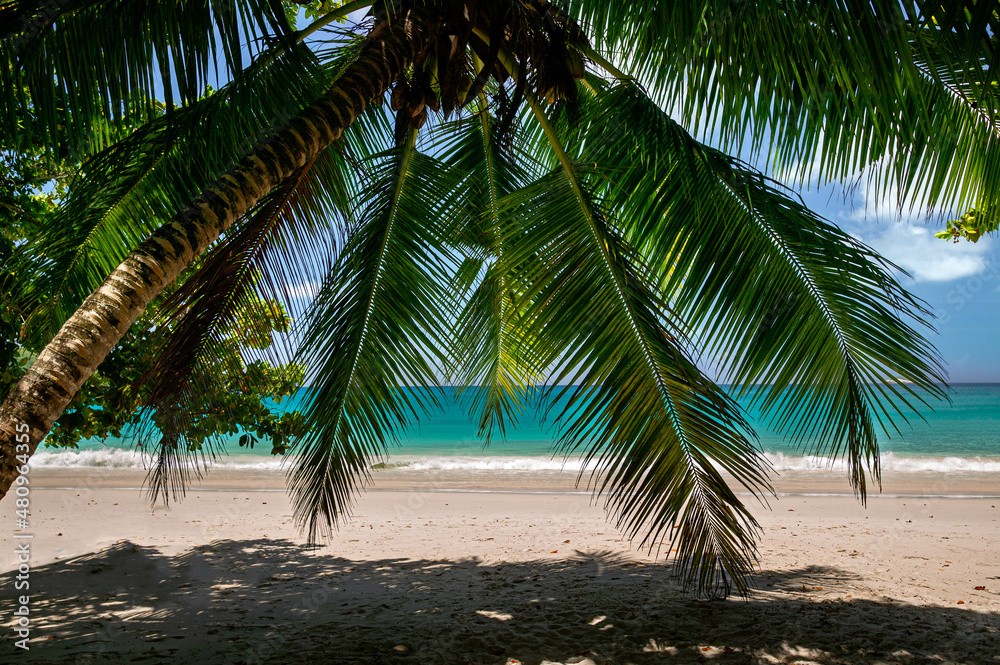 Obraz premium Strand auf der Insel Sainte Anne, Seychellen