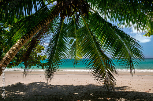 Fototapeta Naklejka Na Ścianę i Meble -  Strand auf der Insel Sainte Anne,  Seychellen