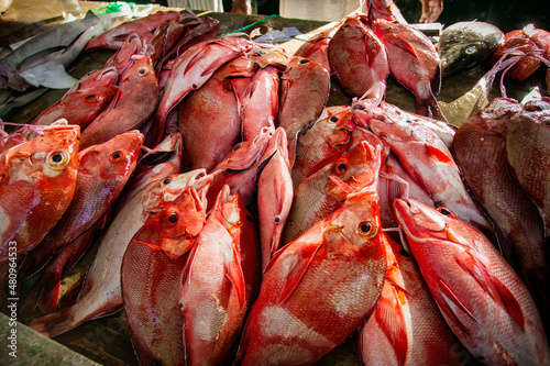 Red Snapper am Markt in Victoria, Mahé, Seychellen