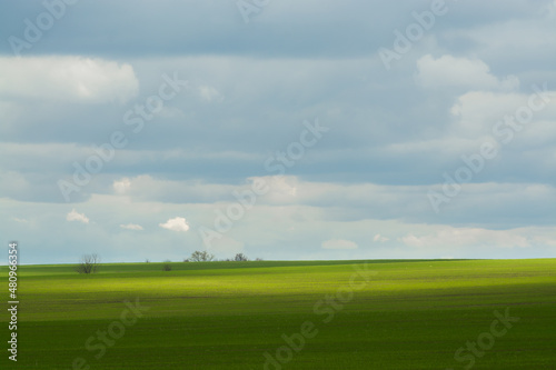 Green field in spring © vasvormich