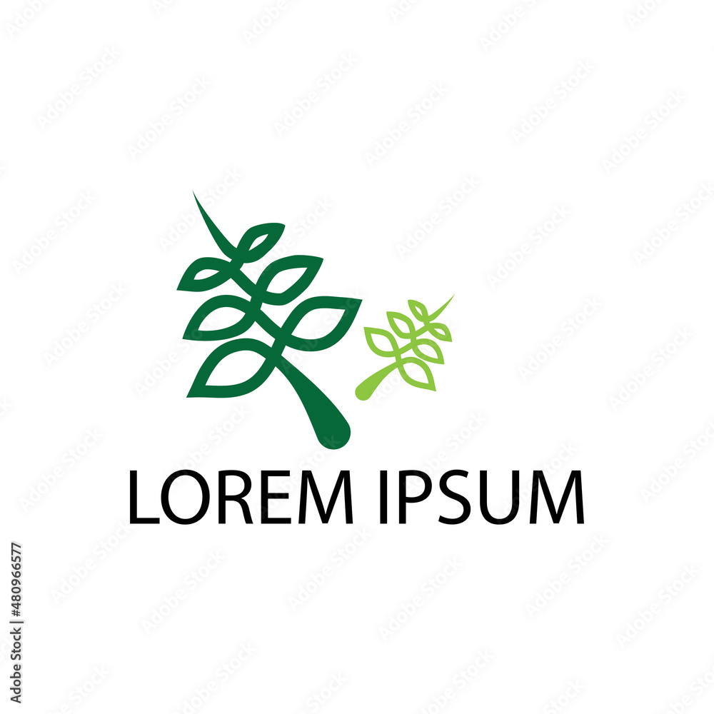 leaf logo icon vector design template leaf logo icon vector design template