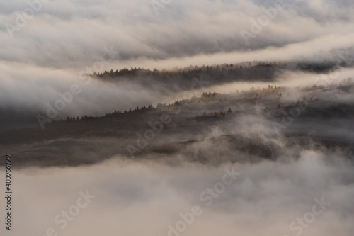 Misty weather sweeping through Welsh countryside landscape of trees in winter fog