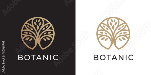 Tree of Life logo line icon. Abstract nature branch leaves symbol. Garden plant botanical eco sign. Vector illustration.