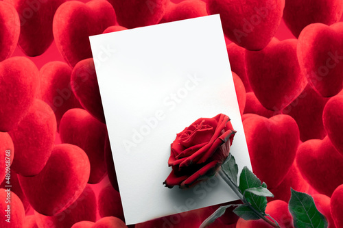 blank template layout is a white sheet of paper on a background of red hearts. a beautiful red rose. a romantic greeting is a blank sheet, a valentine card or an invitation to a wedding