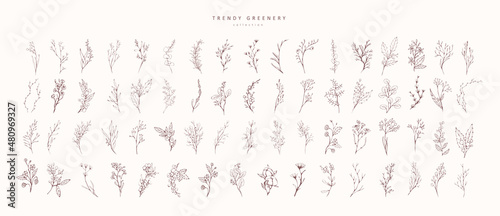 Photographie Trendy floral branch and minimalist flowers for logo or decorations