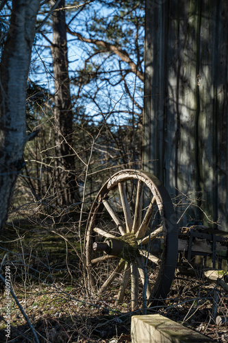 Old unused cart wheel in the woods