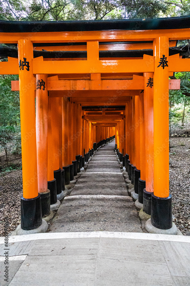 The Senbon Torii, Thousands Torii Gate, at Fushimi Inari Taisha Shinto shrine in daylight. The Senbon Torii, Thousands Torii Gate, at Fushimi Inari Taisha Shinto shrine in daylight.