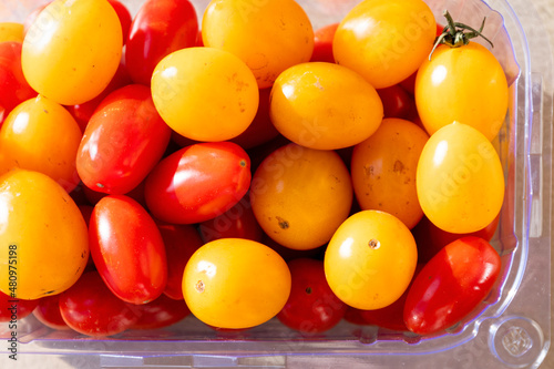 colourful cherry tomatoes close up in sun light