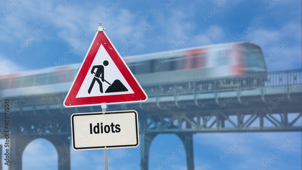 Street Sign to Idiots