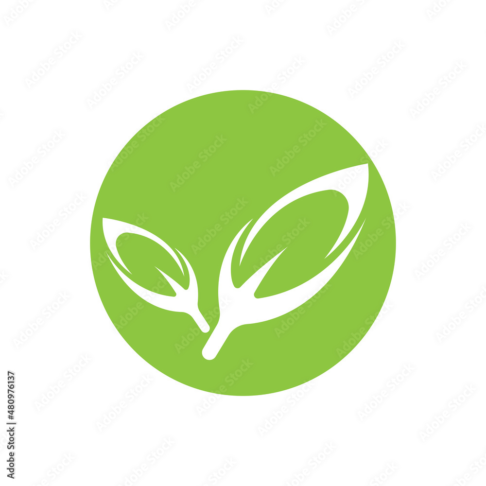 leaf logo icon vector design template