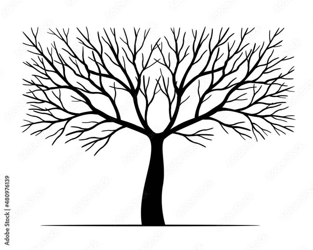 Obraz premium Black Tree. Vector outline Illustration.