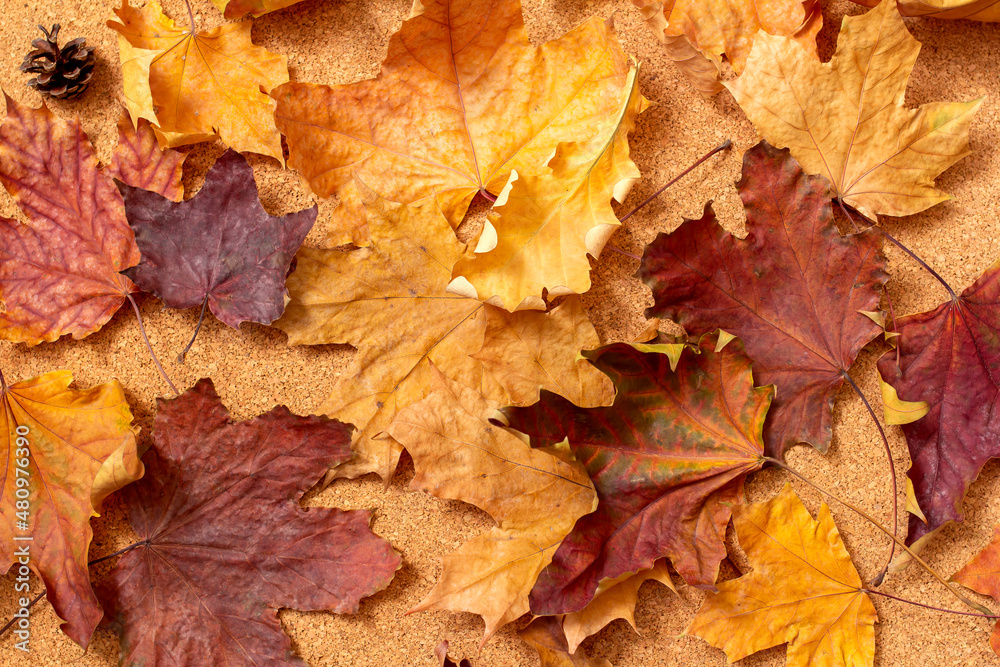 background of dry autumn leaves
