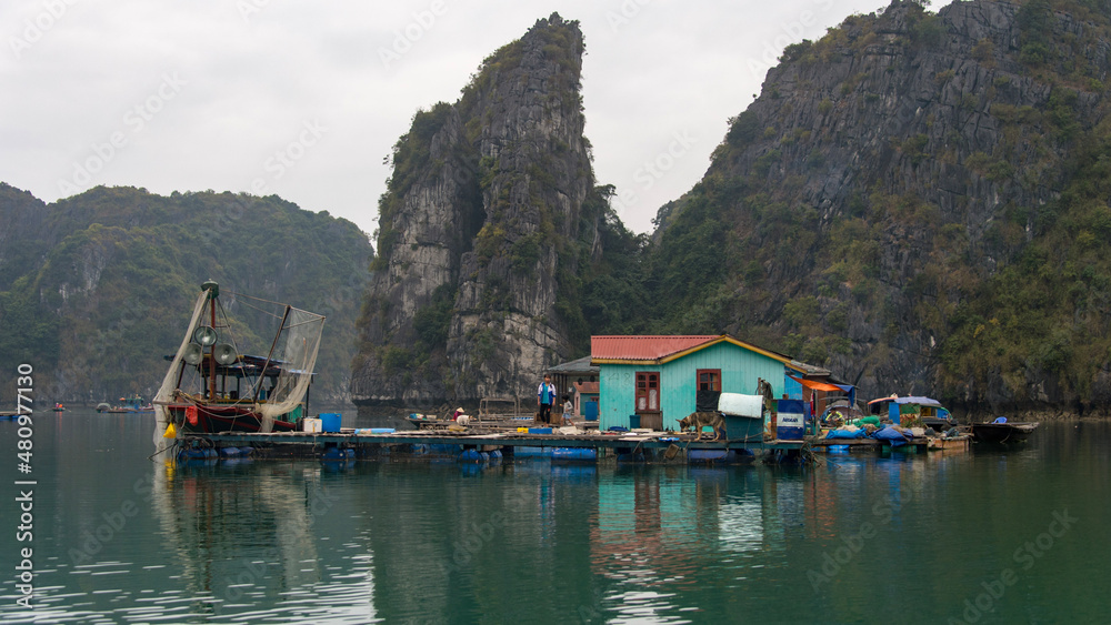 boats on the river