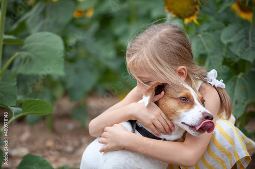 Little girl hugging Jack Russell Terrier dog in nature. Kid and dog friendship. A special bond between the kid and its dog. photo