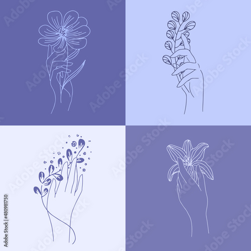 A set of vertical layouts in A4 format in very peri color.