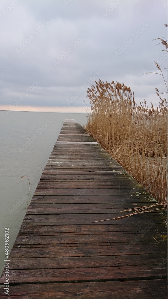 Obraz premium Neusiedler See
