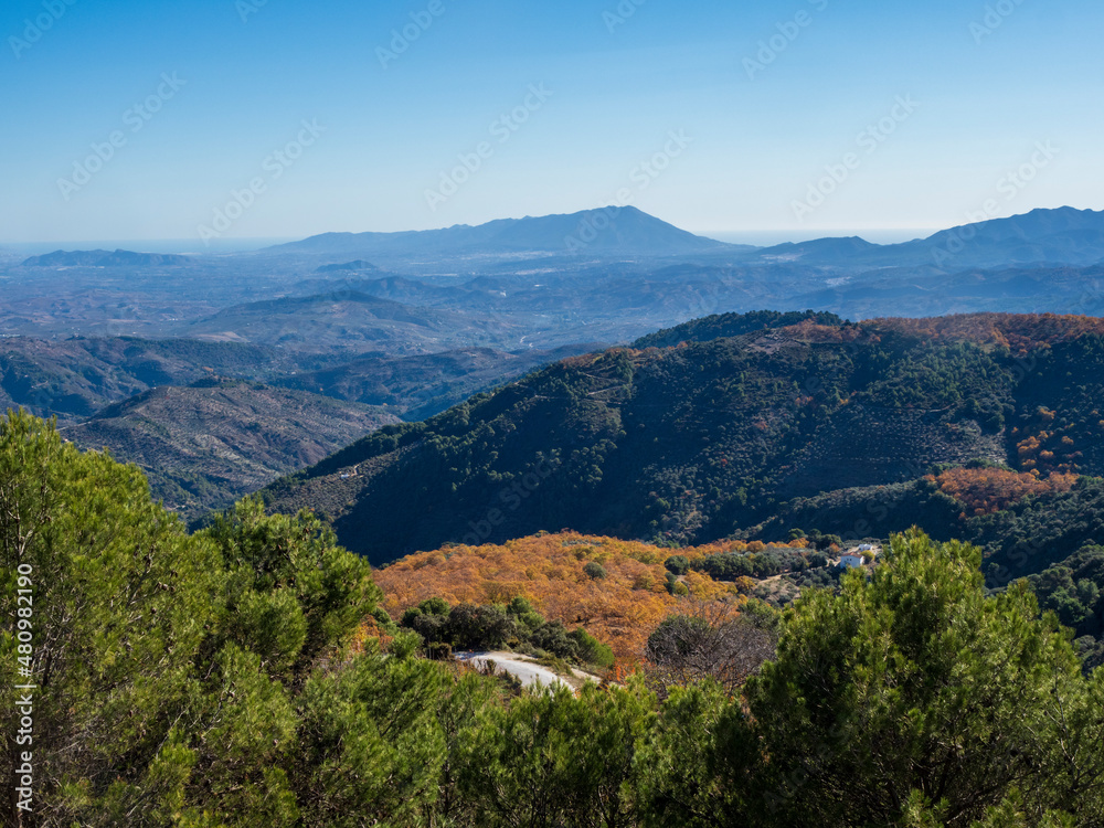 Paisaje otoñal de la Sierra de la Nieves de Málaga