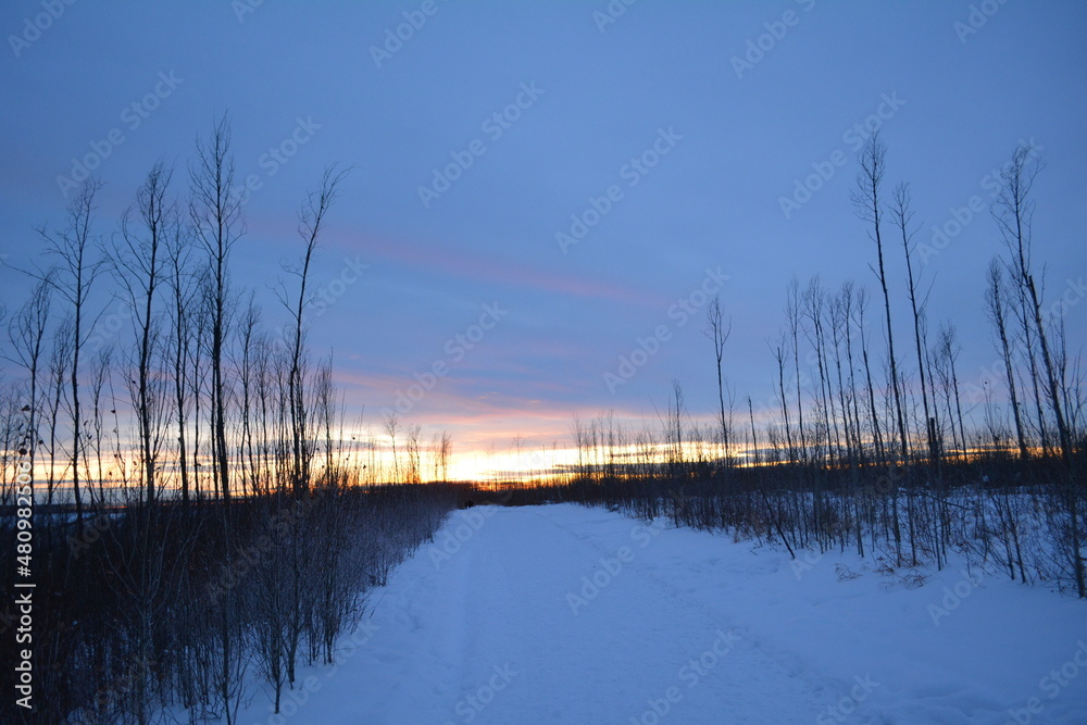 sunset over forest