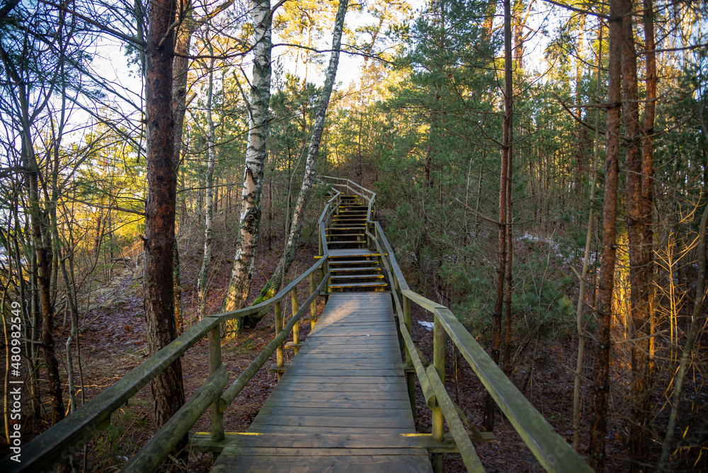wooden plank footpath in forest for hiking in wild nature. winter scene wooden plank footpath in forest for hiking in wild nature. winter scene