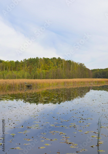 Fototapeta Naklejka Na Ścianę i Meble -  Drewniana ławka w stawie 1