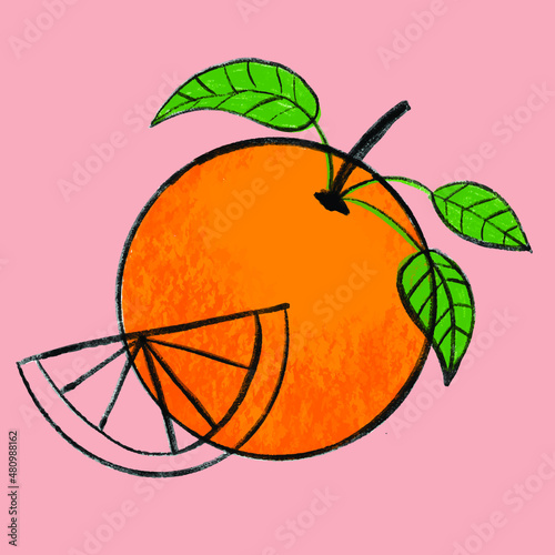 illustration of orange fruit
