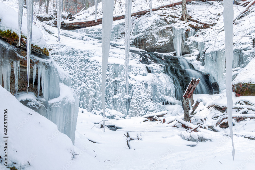 Fototapeta premium frozen waterfall behind icicles 