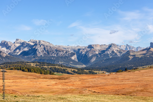 Beautiful view of autumn Seiser Alm plateau and Langkofel Group mountains on the background