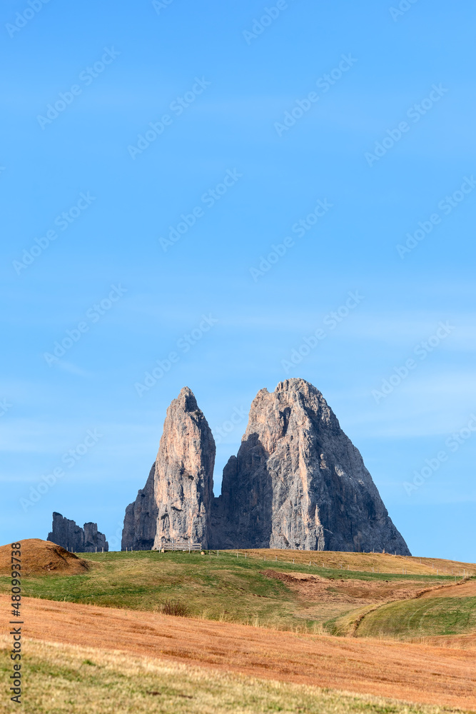 View on Punta Euringer mountain peak from Seiser Alm plateau. South Tyrol, Italy (Vertical photo)