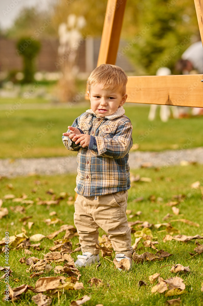 Little boy standing on lawn looking at camera Little boy standing on lawn looking at camera