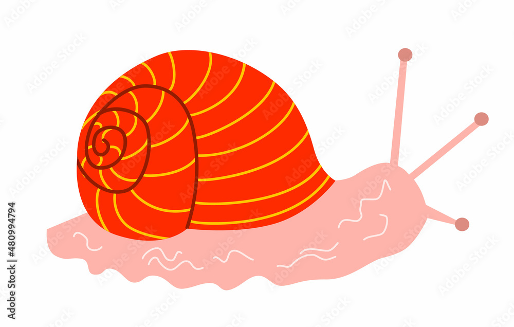 Vector illustration of a red snail in a flat style, isolated on a white background. Vector illustration of a red snail in a flat style, isolated on a white background.
